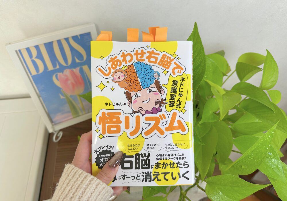 右脳,左脳,脳科学,スピリチュアル,手帳,2026,ゆみブログ