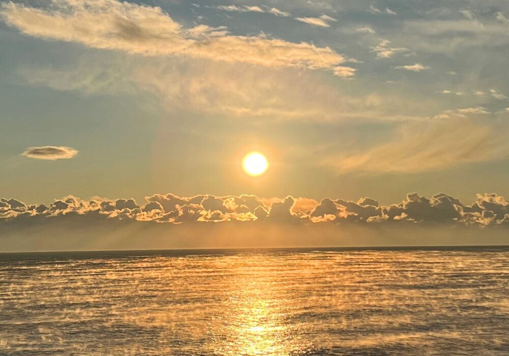 右脳,左脳,脳科学,スピリチュアル,手帳,2026,ゆみブログ